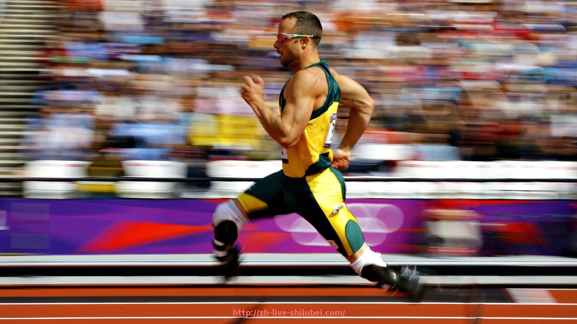 世俱杯直播-健身器材产品详情介绍及功能特点分析